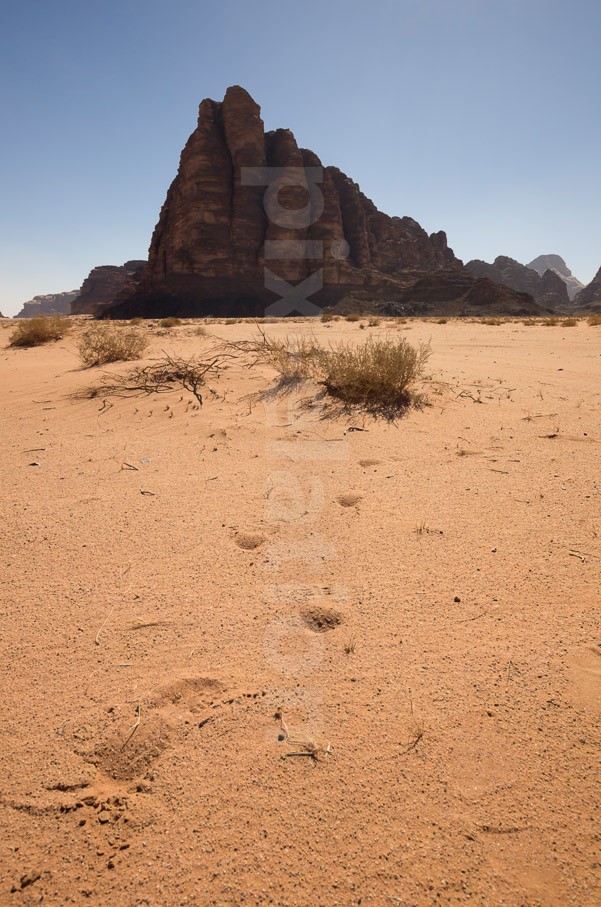 Wadi Rum