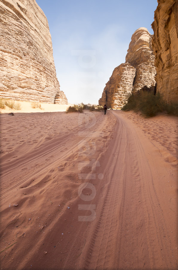 Wadirum3
